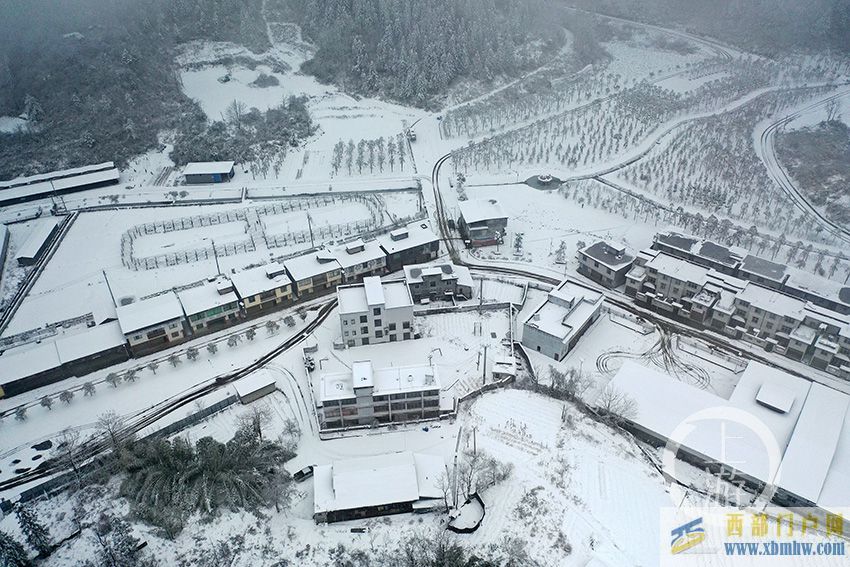 重庆黔江：上班第一天进雪山(图1)