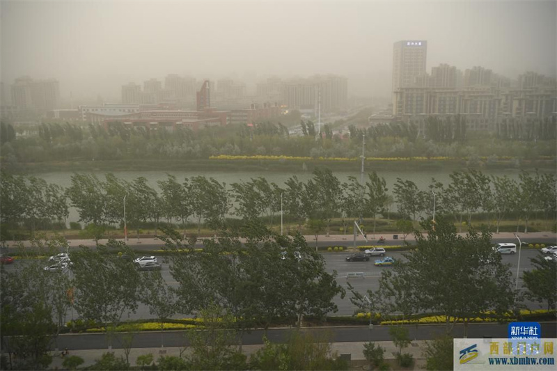 宁夏银川遭遇沙尘天气(图3)