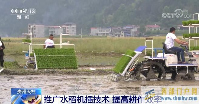 贵州天柱县推广水稻全程机械化技术提高耕作效率(图1)