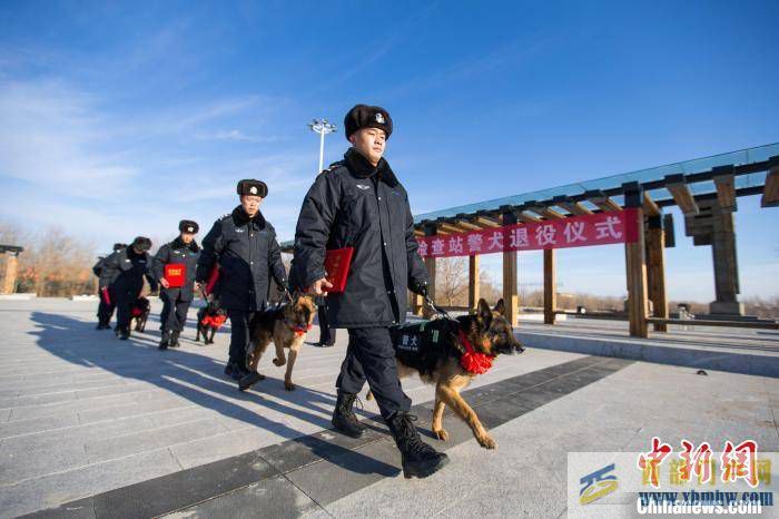 内蒙古二连浩特为警犬举行退役仪式(图2)