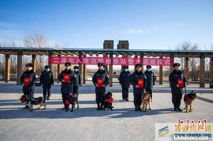 内蒙古二连浩特为警犬举行退役仪式(图4)