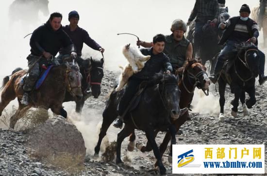 新疆吐鲁番举行叼羊比赛惊险刺激(图1)