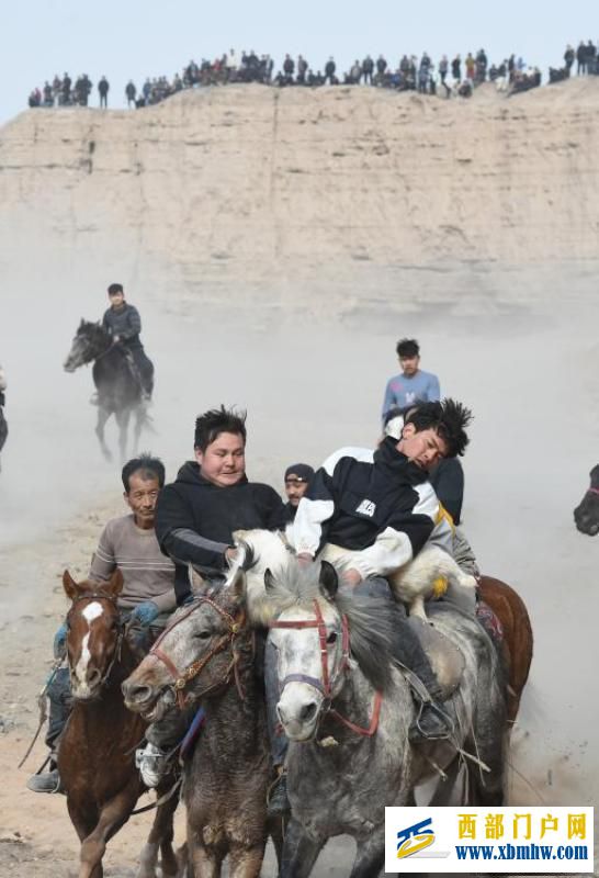 新疆吐鲁番举行叼羊比赛惊险刺激(图3)