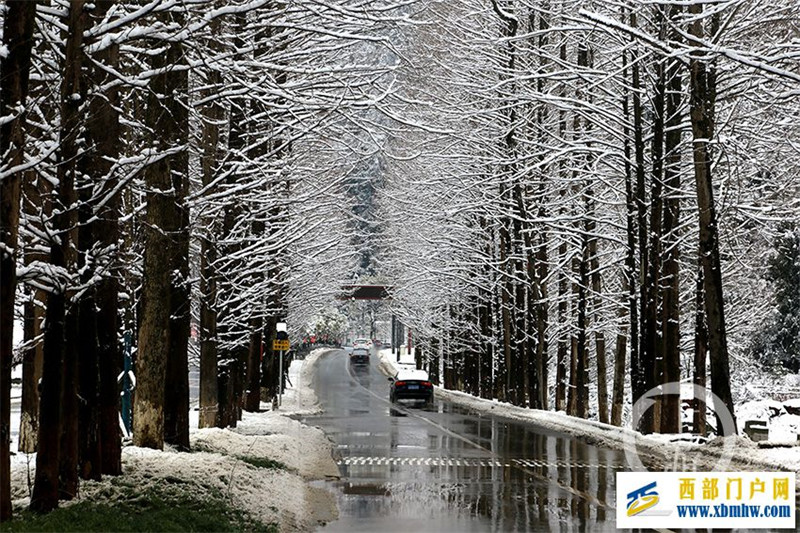 酉阳迎来立春后首场降雪(图1)