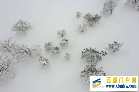 重庆酉阳现雪凇云海似仙境(图3)