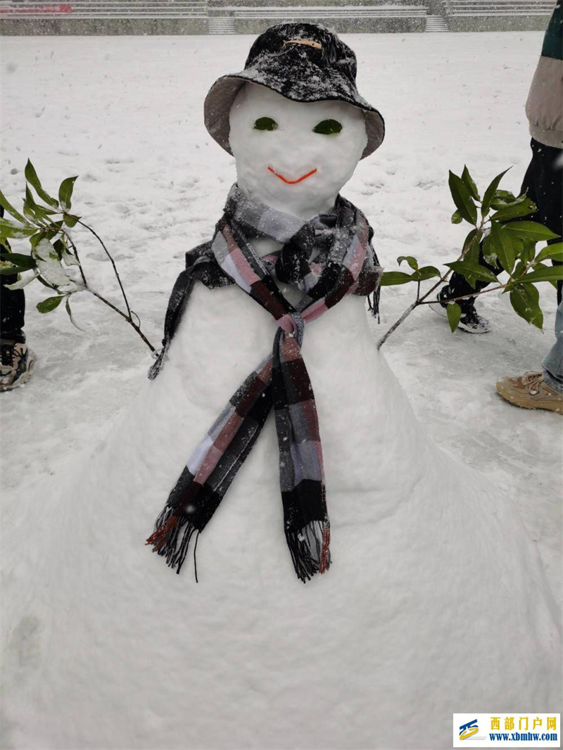 望巴蜀酉阳下雪啦！下得那么深，下得那么认真……(图5)