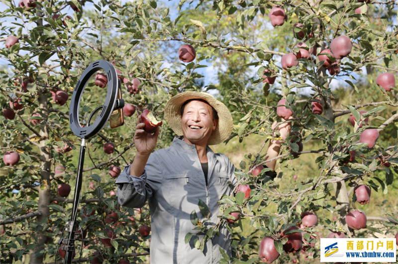 逐梦乡间农产！甘肃新农人吆喝“土味”寄乡愁(图1)