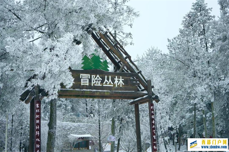 重庆武隆：“云”赏武隆白马山雪景(图2)