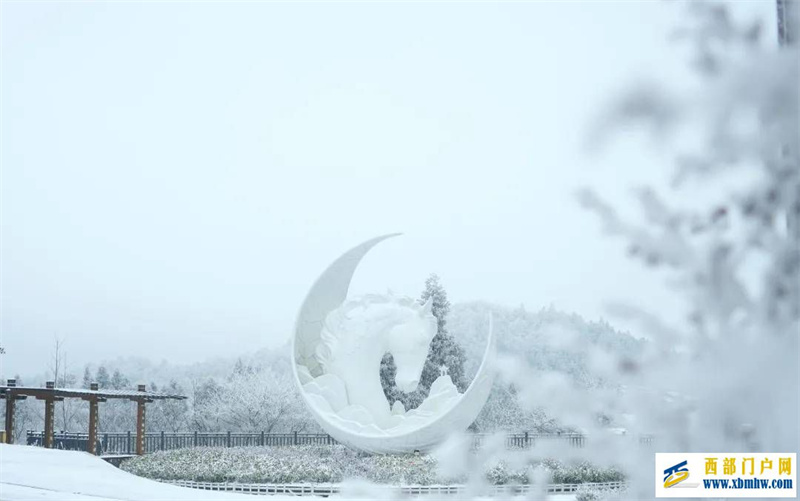 重庆武隆：“云”赏武隆白马山雪景(图1)