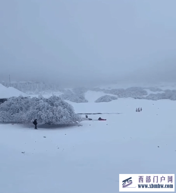 武隆天坑、武隆仙女山国家森林公园迎来降雪(图1)