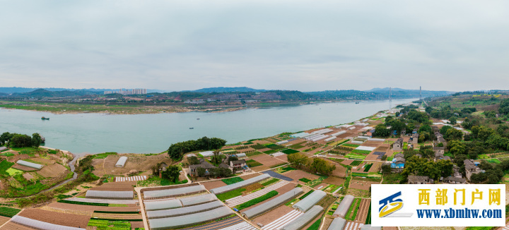 不负春光好，九龙坡春播迎来好光景(图1)