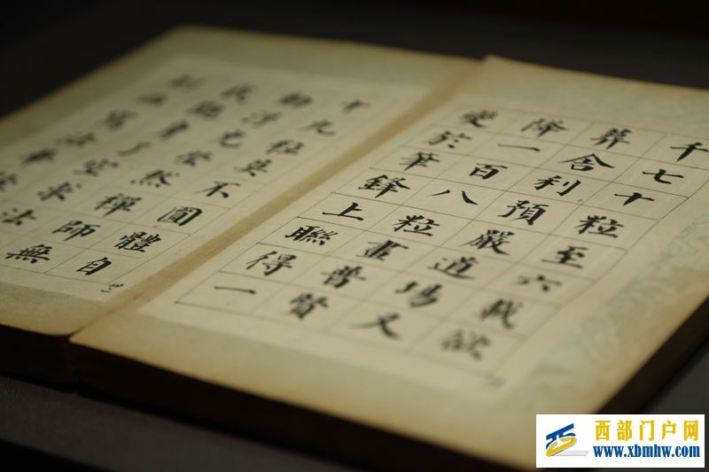 重视汉字书写，传承汉字文化(图2)
