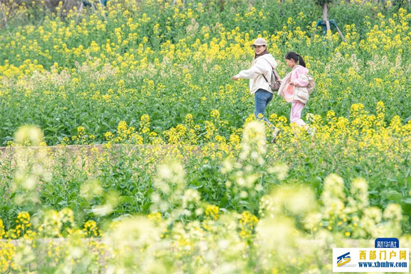 重庆都市田园春色好