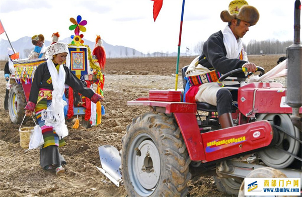 2023年西藏计划落实青稞播种面积220万亩(图1)