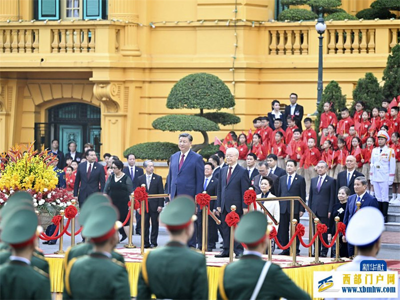 习近平同越共中央总书记阮富仲举行会谈(图3)