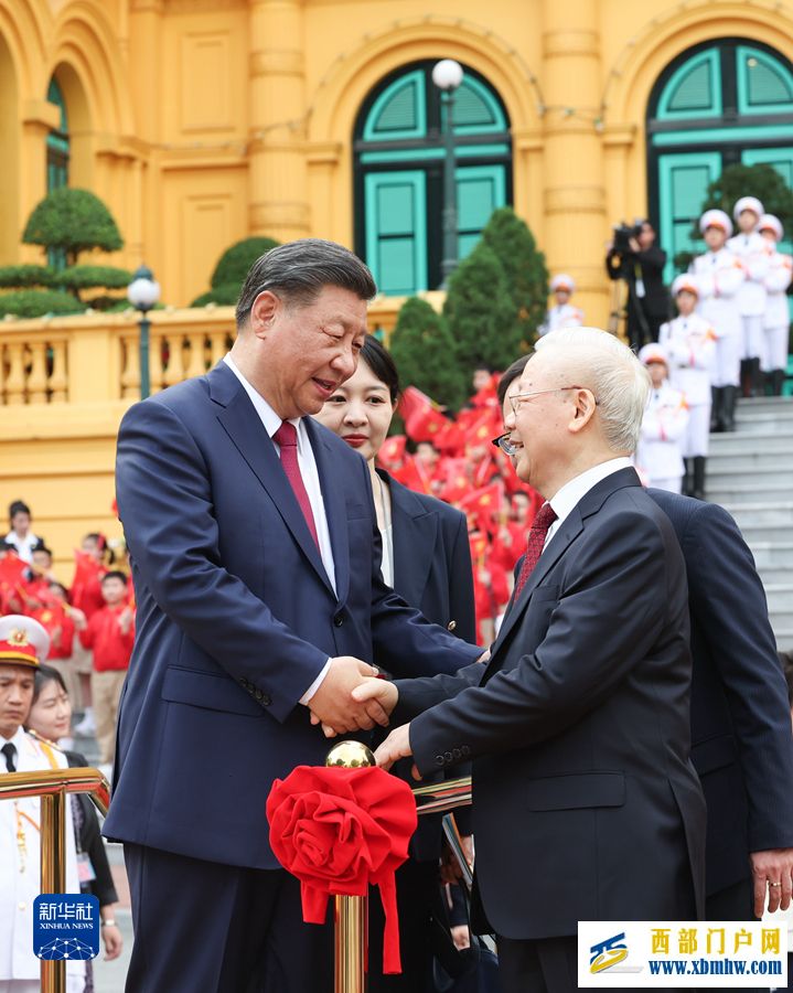 习近平同越共中央总书记阮富仲举行会谈(图2)