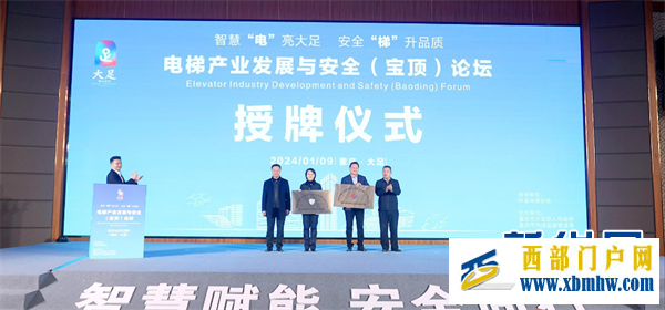 重庆大足举办电梯产业发展与安全（宝顶）论坛 (图2)