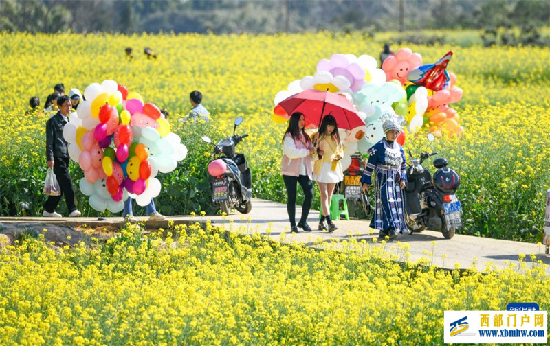 油菜花开春意浓(图1)