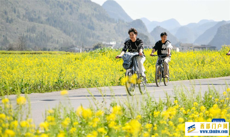 油菜花开春意浓(图4)