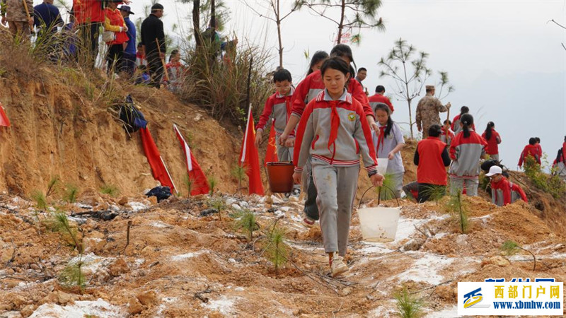 “植”此新绿——多地植树节活动扫描(图2)