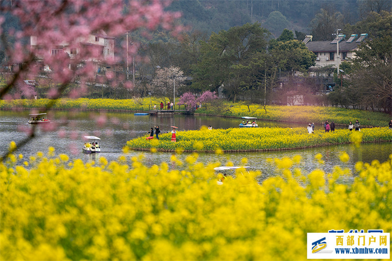 重庆巴南：花海踏春景如画(图4)