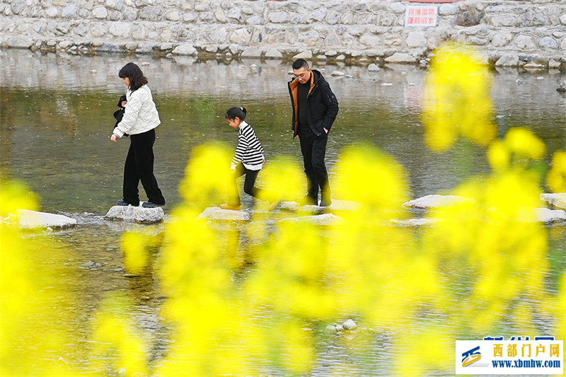 重庆酉阳：唱好“花经济” “颜值”变产值(图1)