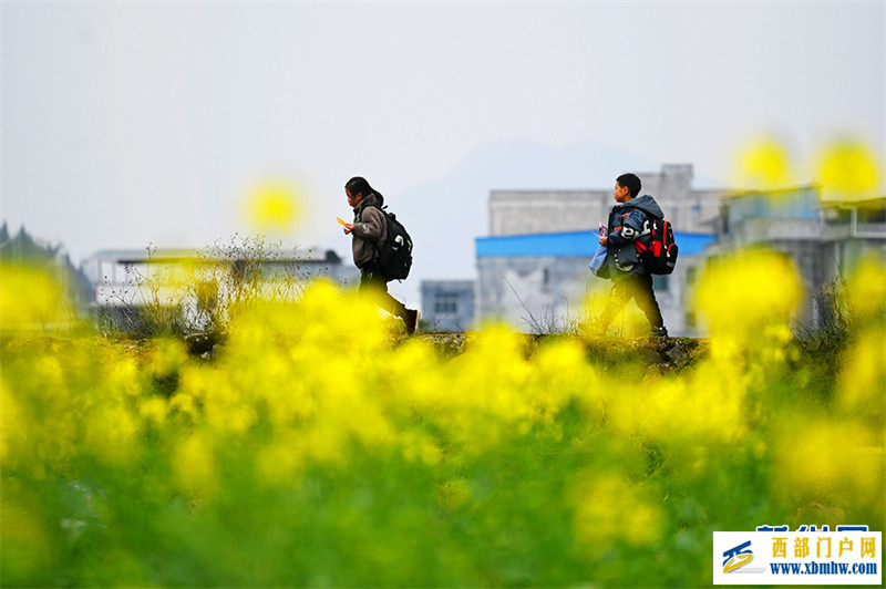 重庆酉阳：唱好“花经济” “颜值”变产值(图7)