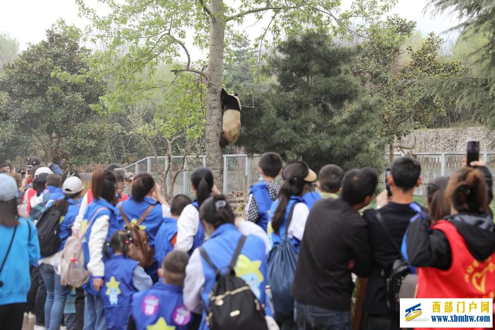 陕西：40名“星星的孩子”畅游西安秦岭野生动物园(图1)