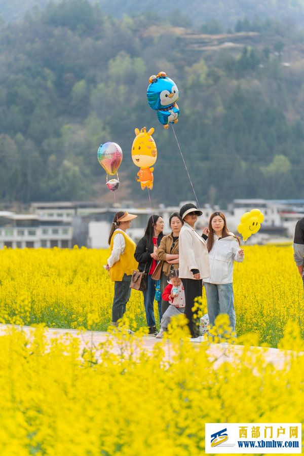 春花盛事，震撼巴山 | 2024最美油菜花海汉中旅游文化节镇巴分会场活动隆重举行(图21)