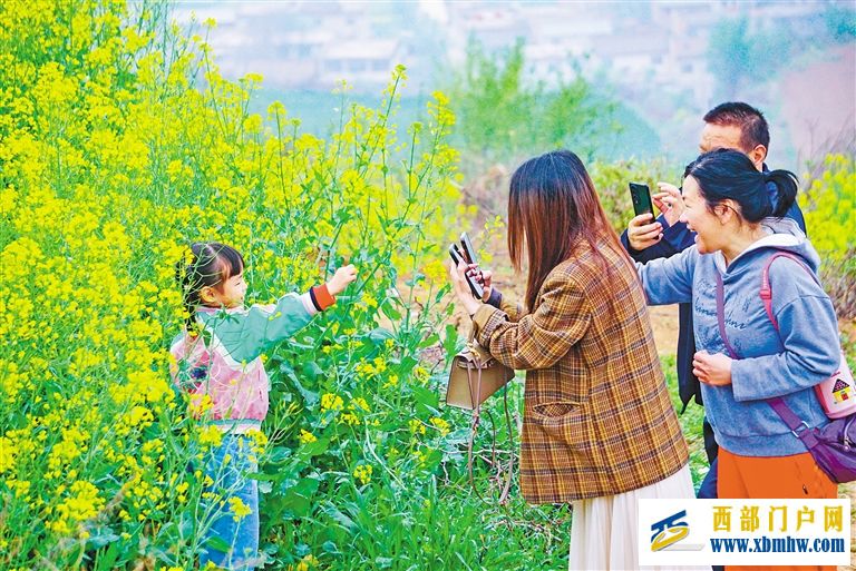 一朵花背后的经济密码(图2)