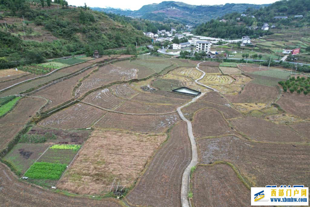 贵州道真：无人机播撒油菜籽 科技赋能秋种忙(图1)