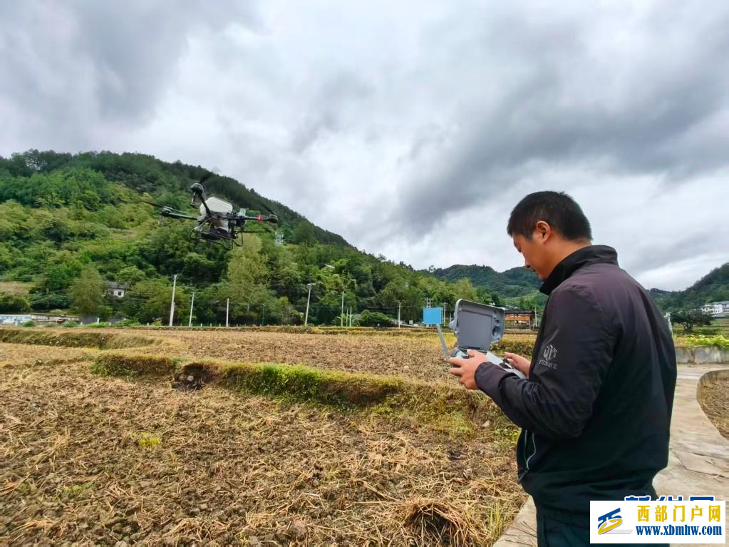 贵州道真：无人机播撒油菜籽 科技赋能秋种忙(图2)