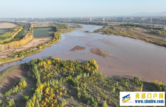 宁夏中卫:黄河岸边秋意浓(图1) 1.jpg