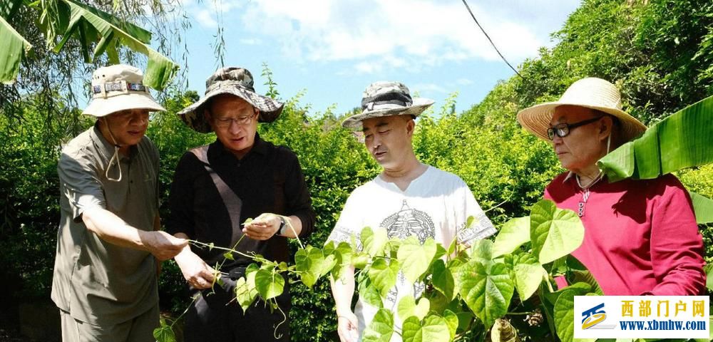 云南:织密幸福保障网 托起最美夕阳红(图3) 云南:织密幸福保障网 托起最美夕阳红(图3)