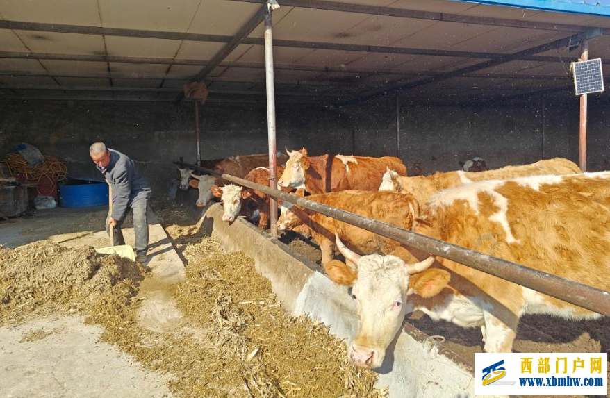 宁夏同心:从“望栏兴叹”到“腰包鼓起”(图1) 宁夏同心:从“望栏兴叹”到“腰包鼓起”(图1)