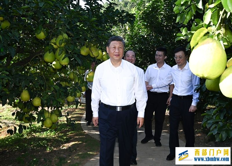 习近平在广东考察时强调(图4) 习近平在广东考察时强调(图4)