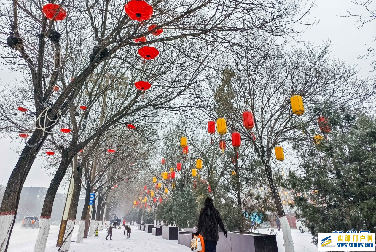 雪落青城 美景如画(图5) 雪落青城 美景如画(图5)