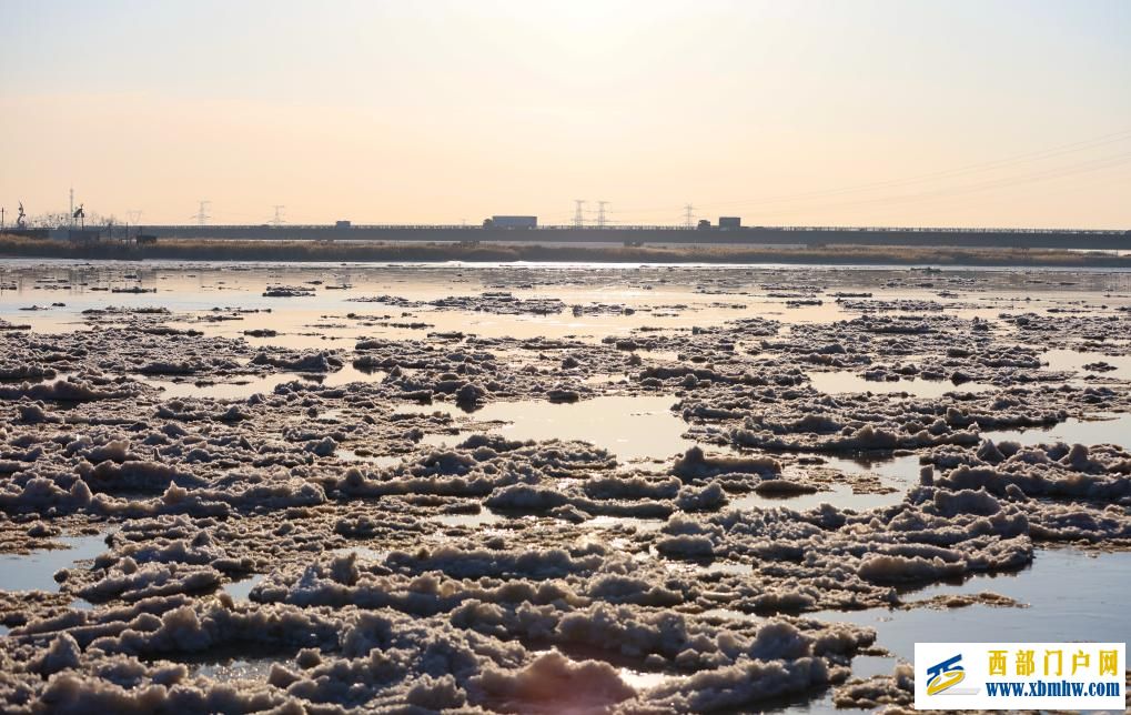 内蒙古包头：流凌盛景引游人(图6)