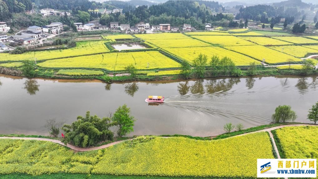 重庆潼南：油菜花开迎客来(图5)