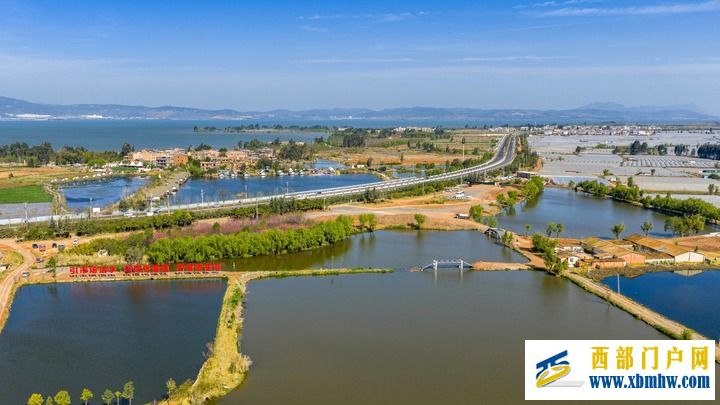 从“抽水浇地”到“刷卡灌溉”——滇池畔灌溉护农新事(图1)