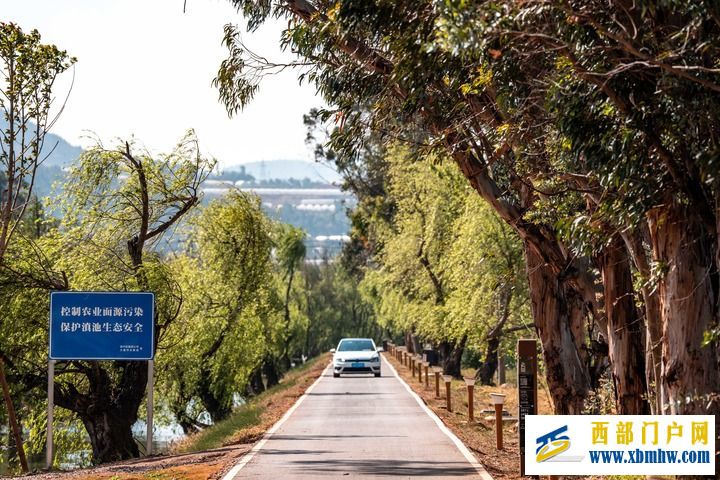 从“抽水浇地”到“刷卡灌溉”——滇池畔灌溉护农新事(图7)