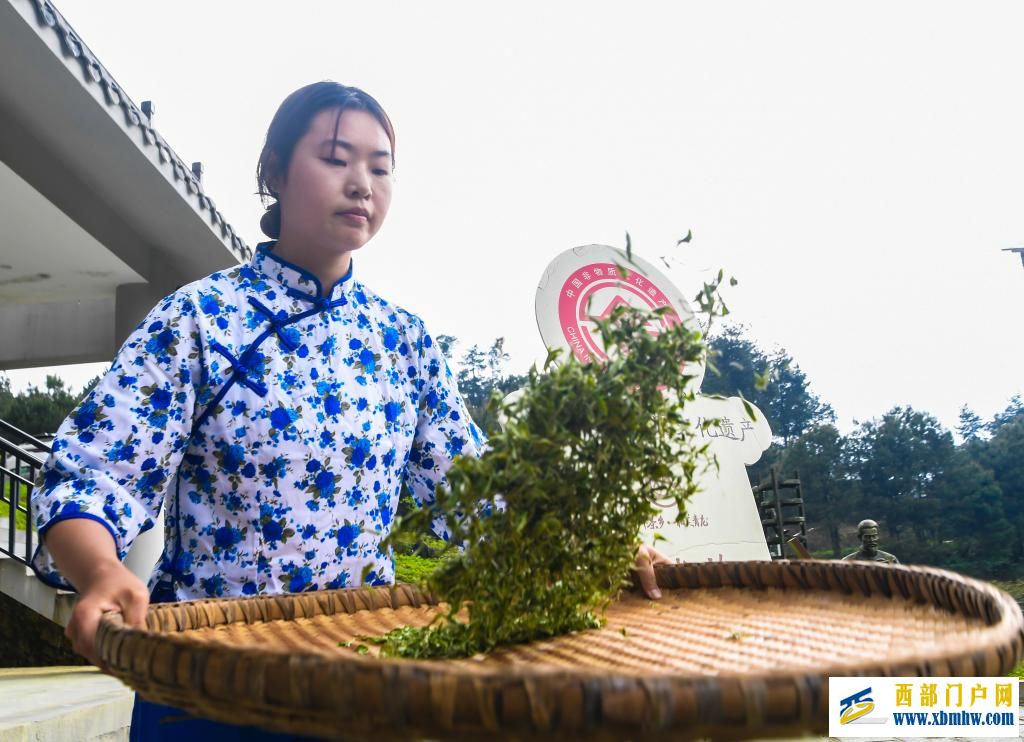 重庆丰都：千年茶乡抢春时(图8)