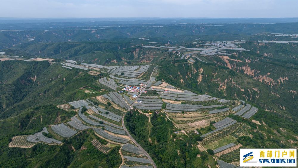 延安:革命圣地绘就多彩画卷(图5) 延安:革命圣地绘就多彩画卷(图5)