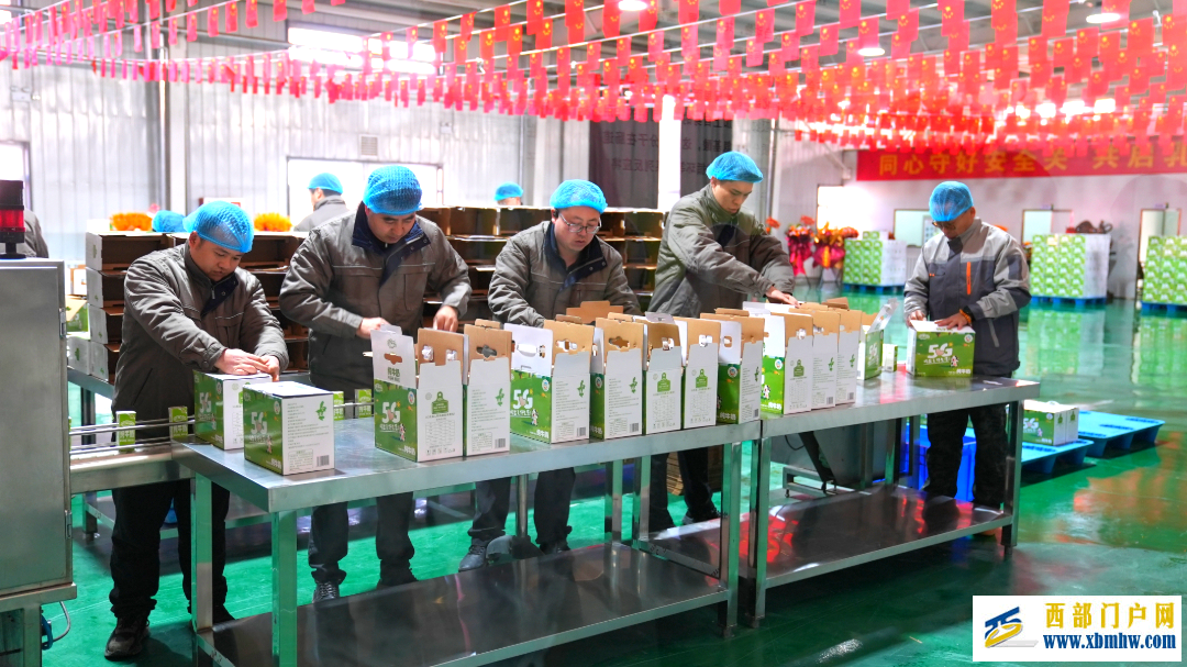 从牧场到餐桌的“鲜”机 兴庆区一杯奶的“共富之旅”(图4) 从牧场到餐桌的“鲜”机 兴庆区一杯奶的“共富之旅”(图4)