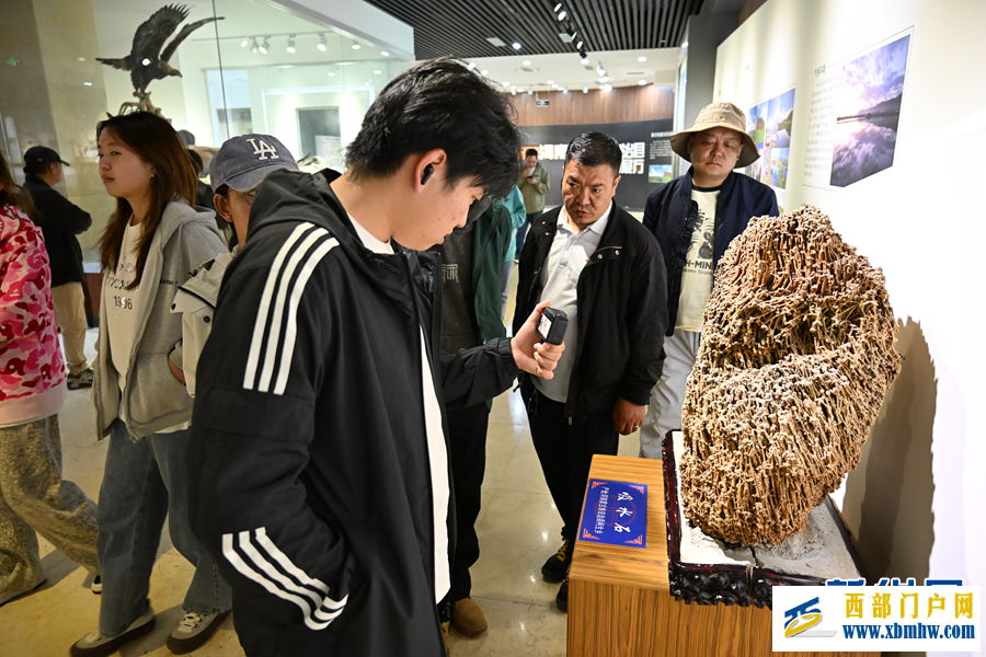 走进黄河南蒙古历史文化博物馆(图1)