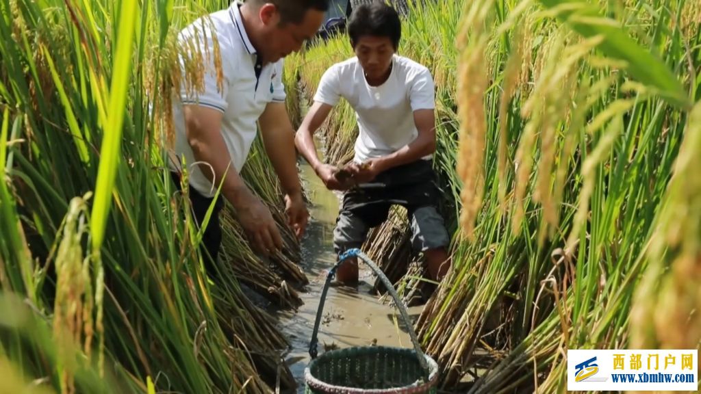 22℃深山侗寨借清凉资源铺就共富路(图5) 22℃深山侗寨借清凉资源铺就共富路(图5)