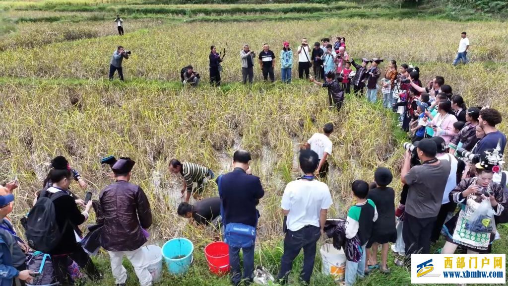 22℃深山侗寨借清凉资源铺就共富路(图6) 22℃深山侗寨借清凉资源铺就共富路(图6)