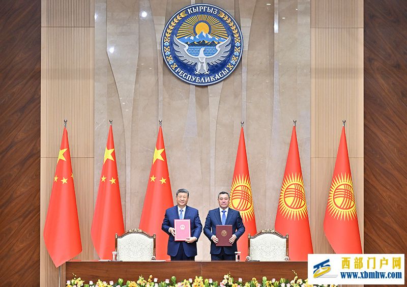 习近平同吉尔吉斯斯坦总统扎帕罗夫会谈(图6)