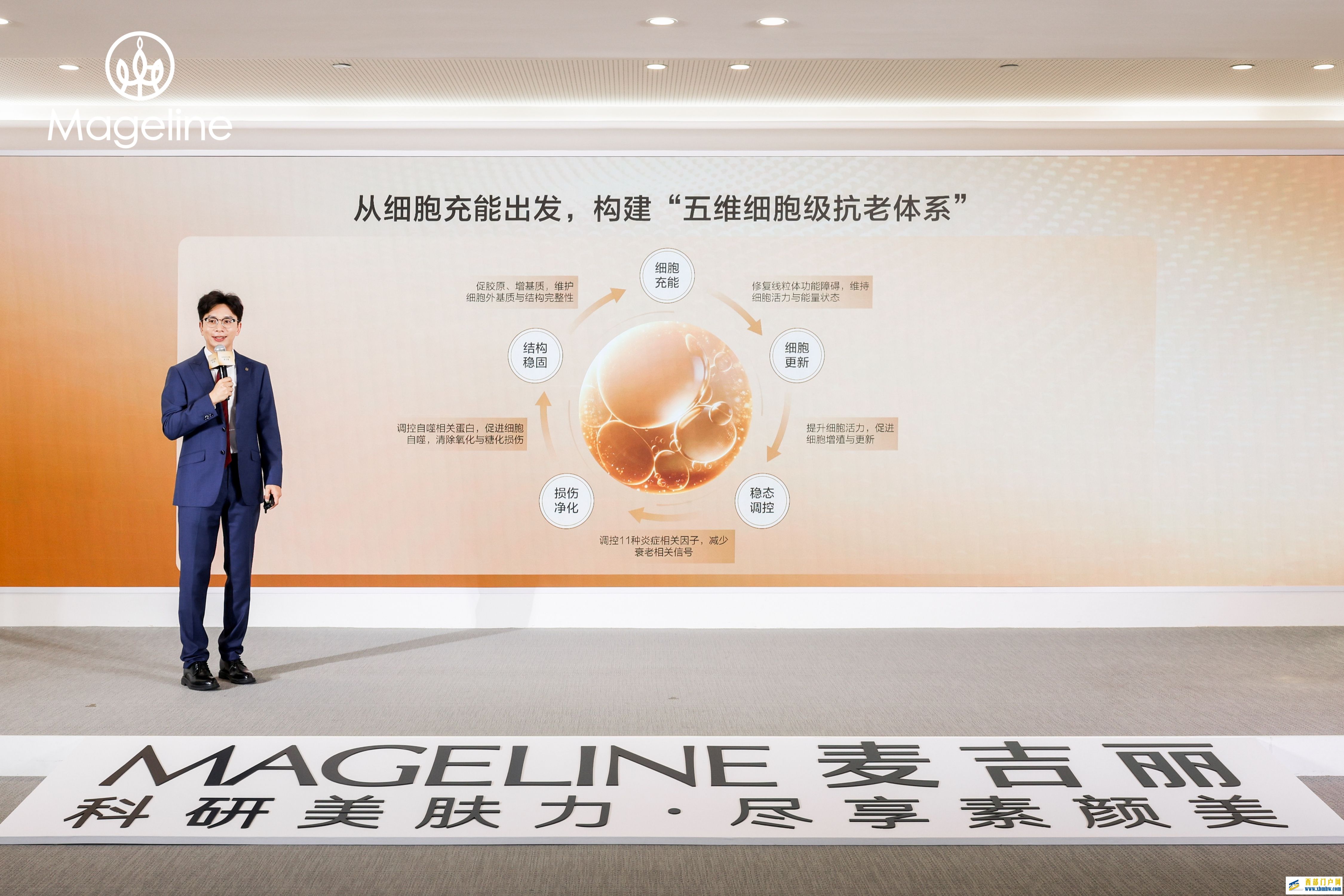 抗老进入"细胞时代":麦吉丽以硬核科研,书写国货美肤新范式(图4) 抗老进入"细胞时代":麦吉丽以硬核科研,书写国货美肤新范式(图4)