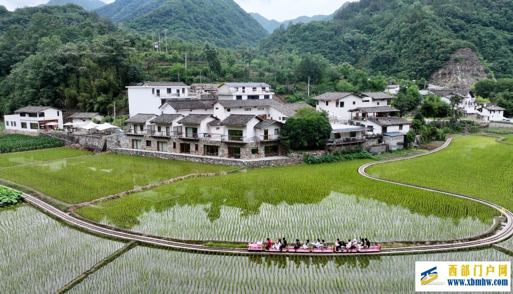 秦岭深处,朱鹮伴飞山野治愈(图1) 秦岭深处,朱鹮伴飞山野治愈(图1)